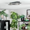 Lidor Plafondlamp LED Zwart, 1-licht