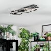 Lidor Plafondlamp LED Chroom, Zwart, 1-licht