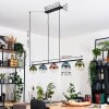 Gastor Hanglamp, Kogellampje, Hanglamp Blauw, Groen, Duidelijk, Koperkleurig, 5-lichts