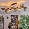 Ripoll Plafondlamp, Kogellampje Goud, Zwart, 10-lichts