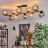 Ripoll Plafondlamp, Kogellampje Goud, Zwart, 10-lichts