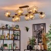 Ripoll Plafondlamp, Kogellampje Goud, Zwart, 10-lichts