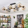 Ripoll Plafondlamp, Kogellampje Goud, Zwart, 10-lichts