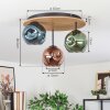 Ripoll Plafondlamp, Kogellampje Natuurlijke kleuren, Zwart, 3-lichts