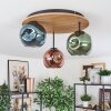 Ripoll Plafondlamp, Kogellampje Natuurlijke kleuren, Zwart, 3-lichts