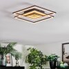 Manor Plafondlamp LED Zwart, 1-licht, Afstandsbediening
