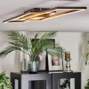 Manor Plafondlamp LED Zwart, 1-licht, Afstandsbediening