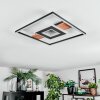 Hadel Plafondlamp LED houtlook, Zwart, 1-licht