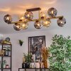 Ripoll Plafondlamp, Kogellampje Goud, Zwart, 10-lichts