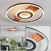 Hadel Plafondlamp LED houtlook, Zwart, 1-licht