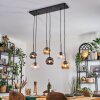 Ripoll Hanglamp, Kogellampje, Hanglamp Amber, Duidelijk, Rookkleurig, 6-lichts