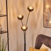 Koyoto Kogellampje, Staande lamp Duidelijk, Rookkleurig, 3-lichts