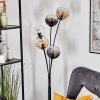 Koyoto Kogellampje, Staande lamp Amber, Duidelijk, Rookkleurig, 5-lichts