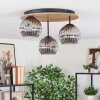 Ripoll Plafondlamp, Kogellampje Natuurlijke kleuren, Zwart, 3-lichts