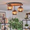 Ripoll Plafondlamp, Kogellampje Natuurlijke kleuren, Zwart, 3-lichts