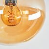 Gastor Plafondlamp, Kogellampje Amber, Rookkleurig, 5-lichts