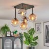 Gastor Plafondlamp, Kogellampje Amber, Duidelijk, Rookkleurig, 5-lichts