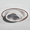 Lynor Plafondlamp LED Antraciet, Zwart, 1-licht