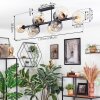 Koyoto Plafondlamp, Kogellampje Amber, Duidelijk, Rookkleurig, 10-lichts