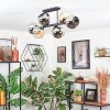 Koyoto Plafondlamp, Kogellampje Amber, Chroom, Rookkleurig, 6-lichts