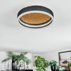 Guine Plafondlamp LED Goud, Zwart, 1-licht