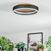 Guine Plafondlamp LED Goud, Zwart, 1-licht