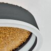 Guine Plafondlamp LED Goud, Zwart, 1-licht