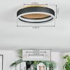 Guine Plafondlamp LED Goud, Zwart, 1-licht