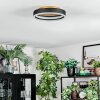 Guine Plafondlamp LED Goud, Zwart, 1-licht