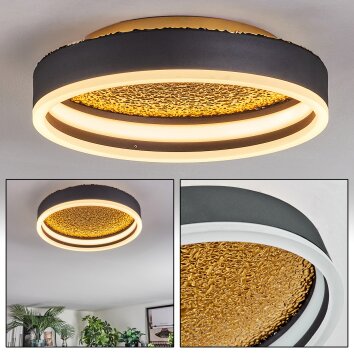 Guine Plafondlamp LED Goud, Zwart, 1-licht
