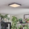 Salmi Plafondlamp, Paneel LED Grijs, Zilver, 1-licht