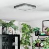 Salmi Plafondlamp, Paneel LED Grijs, Zilver, 1-licht