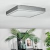 Salmi Plafondlamp, Paneel LED Grijs, Zilver, 1-licht
