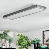 Salmi Plafondlamp, Paneel LED Grijs, Zilver, 1-licht