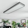 Salmi Plafondlamp, Paneel LED Grijs, Zilver, 1-licht