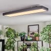 Salmi Plafondlamp, Paneel LED Grijs, Zilver, 1-licht