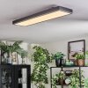 Salmi Plafondlamp, Paneel LED Grijs, Zilver, 1-licht