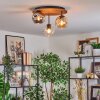 Ripoll Plafondlamp, Kogellampje Natuurlijke kleuren, Zwart, 3-lichts