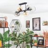 Koyoto Plafondlamp, Kogellampje Amber, Duidelijk, Rookkleurig, 6-lichts