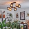 Koyoto Plafondlamp, Kogellampje Amber, Rookkleurig, 6-lichts