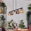 Ripoll Hanglamp, Kogellampje, Hanglamp Amber, Duidelijk, Rookkleurig, 5-lichts