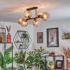 Koyoto Plafondlamp, Kogellampje Amber, Duidelijk, 6-lichts