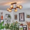 Koyoto Plafondlamp, Kogellampje Amber, Duidelijk, 6-lichts