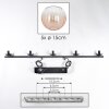 Koyoto Hanglamp, Kogellampje, Hanglamp Amber, Duidelijk, 5-lichts