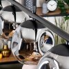 Ripoll Hanglamp, Kogellampje, Hanglamp Rookkleurig, 4-lichts