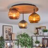 Koyoto Plafondlamp, Kogellampje 40 cm Bruin, houtlook, Zwart, 3-lichts