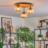 Ripoll Plafondlamp, Kogellampje Natuurlijke kleuren, Zwart, 3-lichts