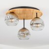 Ripoll Plafondlamp, Kogellampje Natuurlijke kleuren, Zwart, 3-lichts