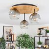 Ripoll Plafondlamp, Kogellampje Natuurlijke kleuren, Zwart, 3-lichts