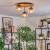 Ripoll Plafondlamp, Kogellampje Natuurlijke kleuren, Zwart, 3-lichts